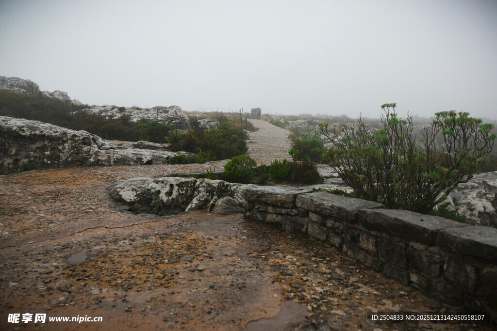 古老城墙边的荒芜景致