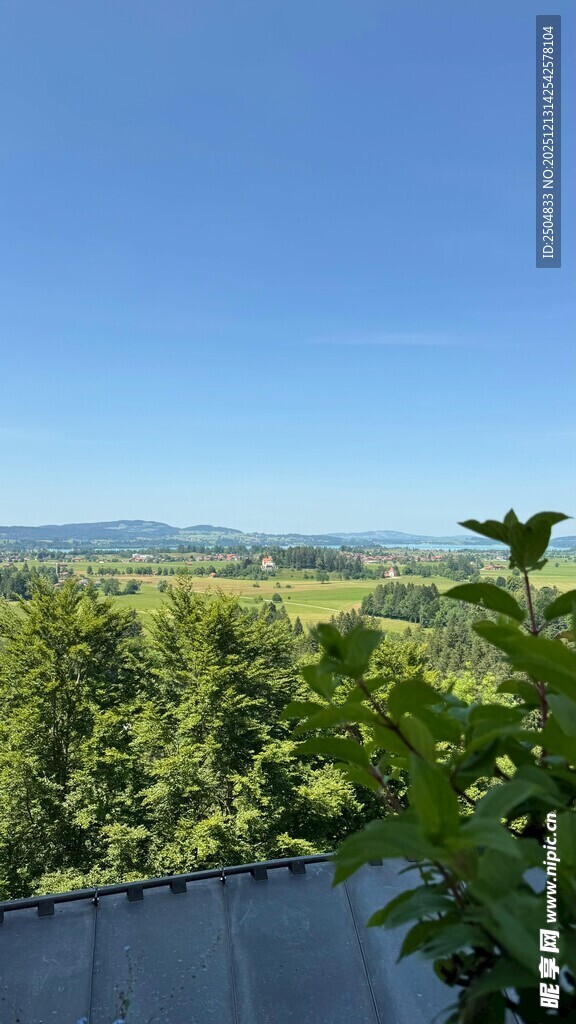 俯瞰葱郁山林美景