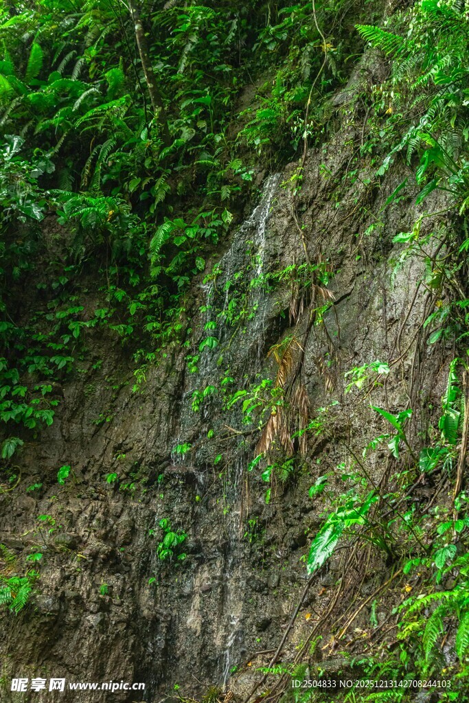 山间绿植覆盖的岩石峭壁