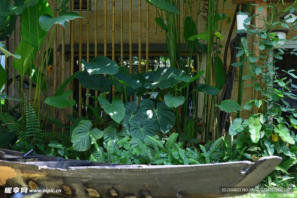 丛林中的木质小屋与绿植