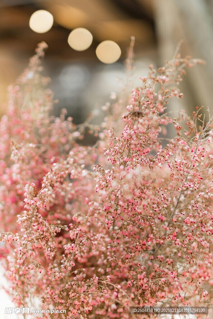 粉色浪漫满天星花束