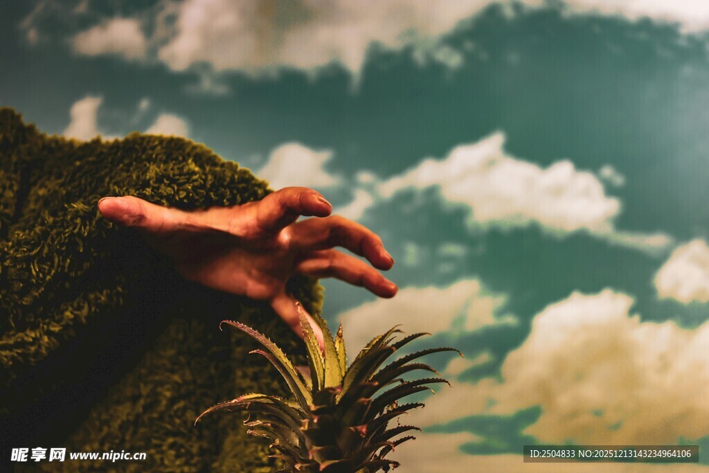 恐龙模型与绿植天空景象