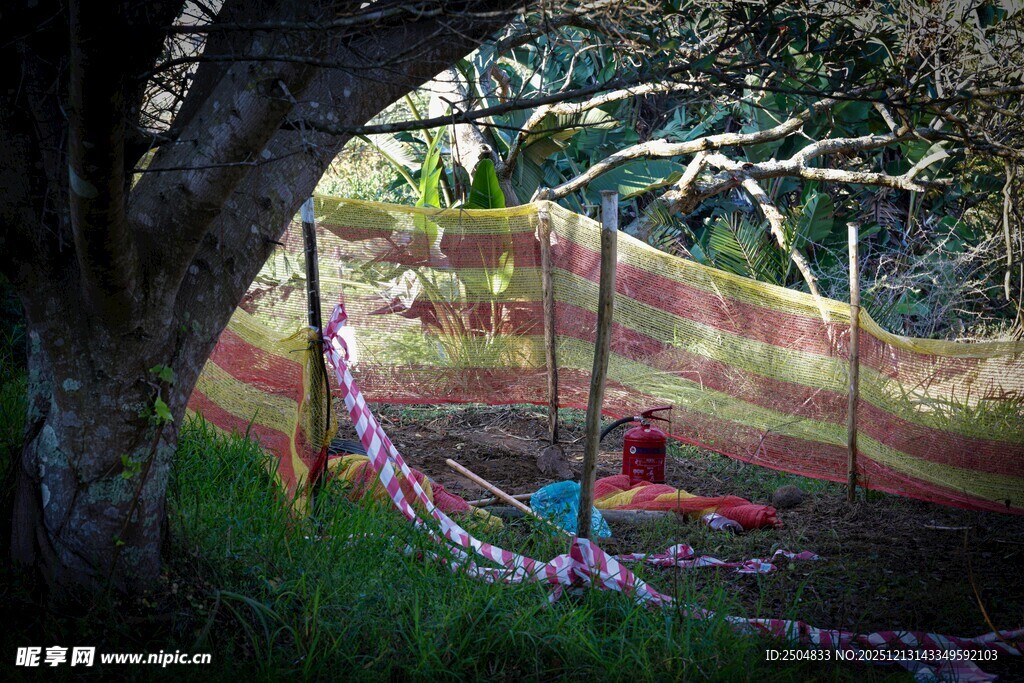 户外树下梦幻彩色吊床场景