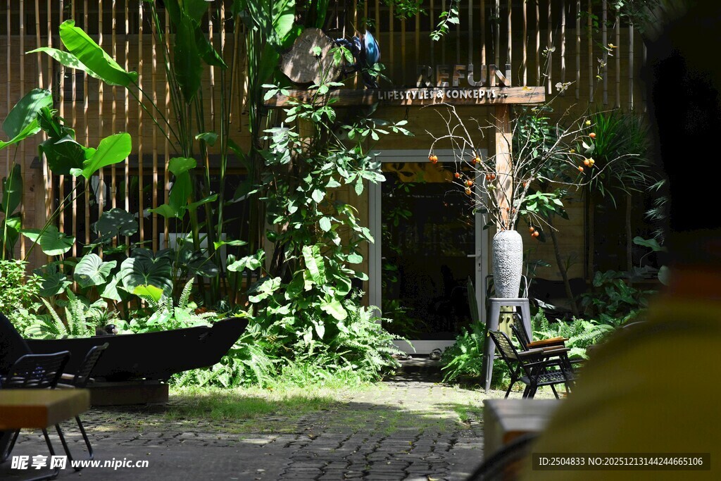 静谧绿植环绕的庭院一角