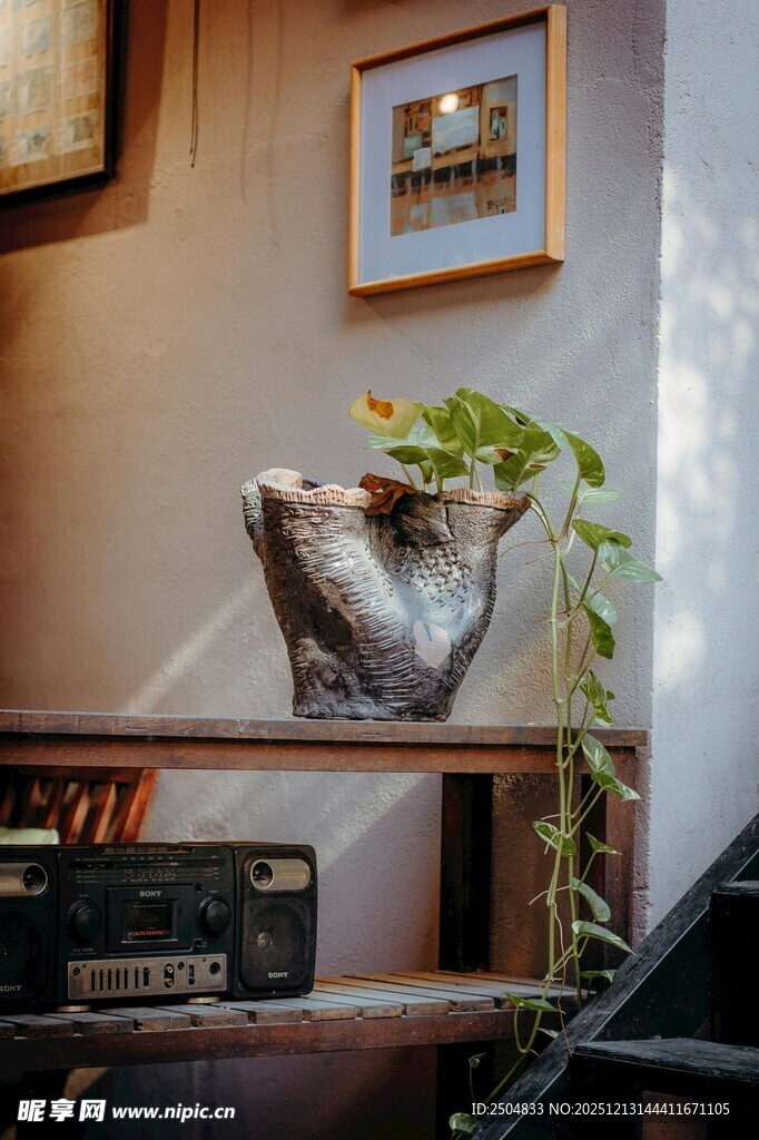 室内角落的绿植摆件装饰