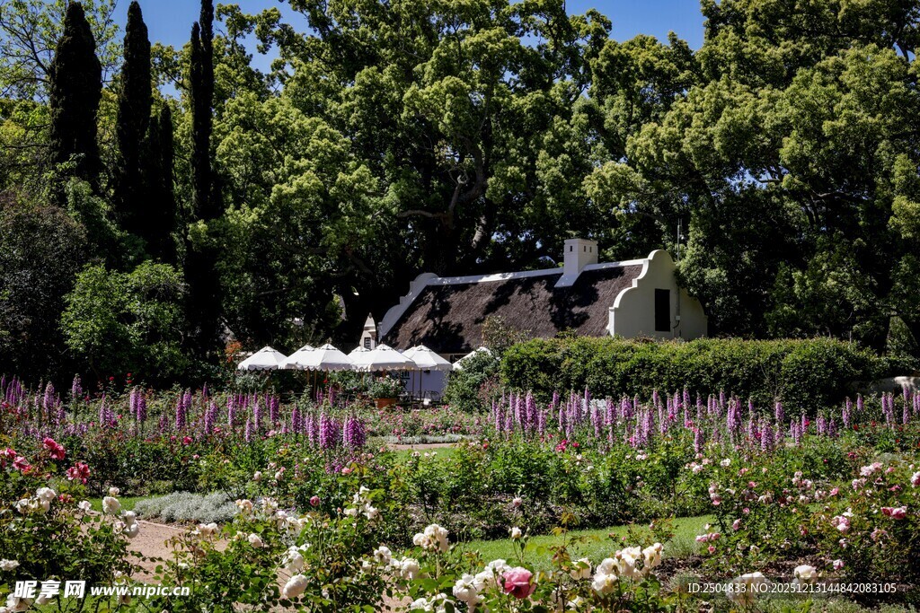 花园中的小屋与繁茂绿植