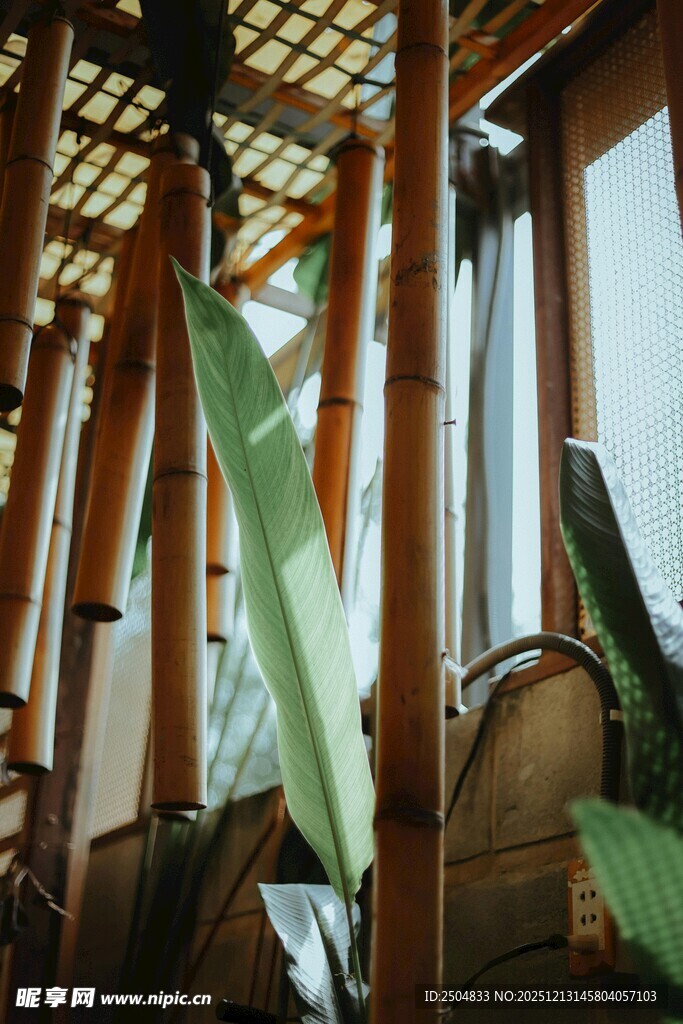 室内木质结构与绿植景观