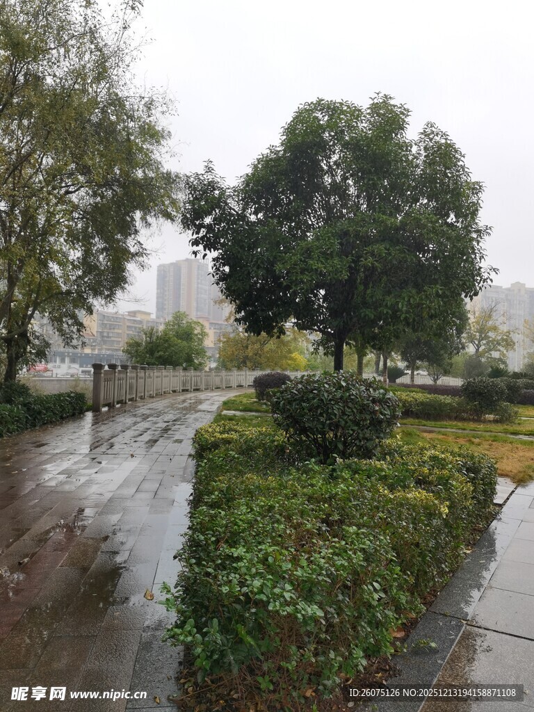 雨后公园景观