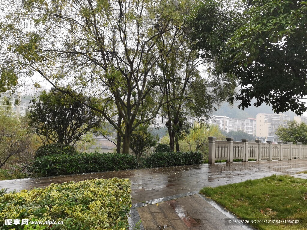 雨后清新的公园小径