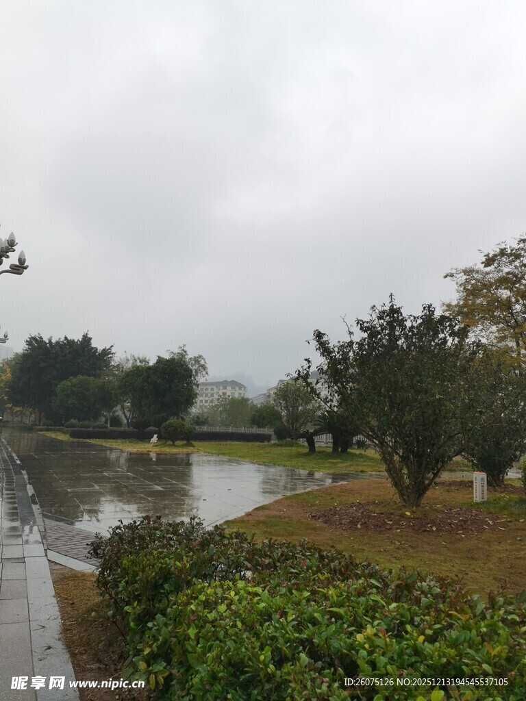 雨中公园景色