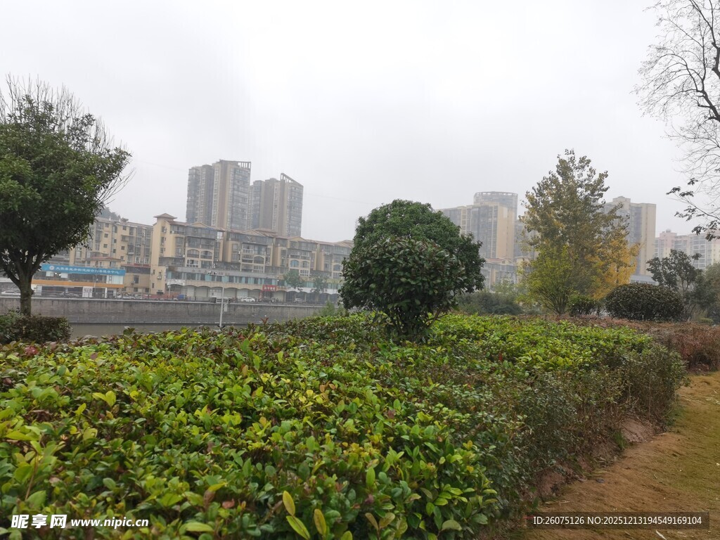 雾中城市旁的绿植景观