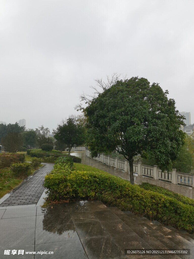 雨后湿润的园林小道景观