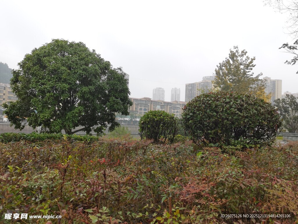 城市中的绿植景观