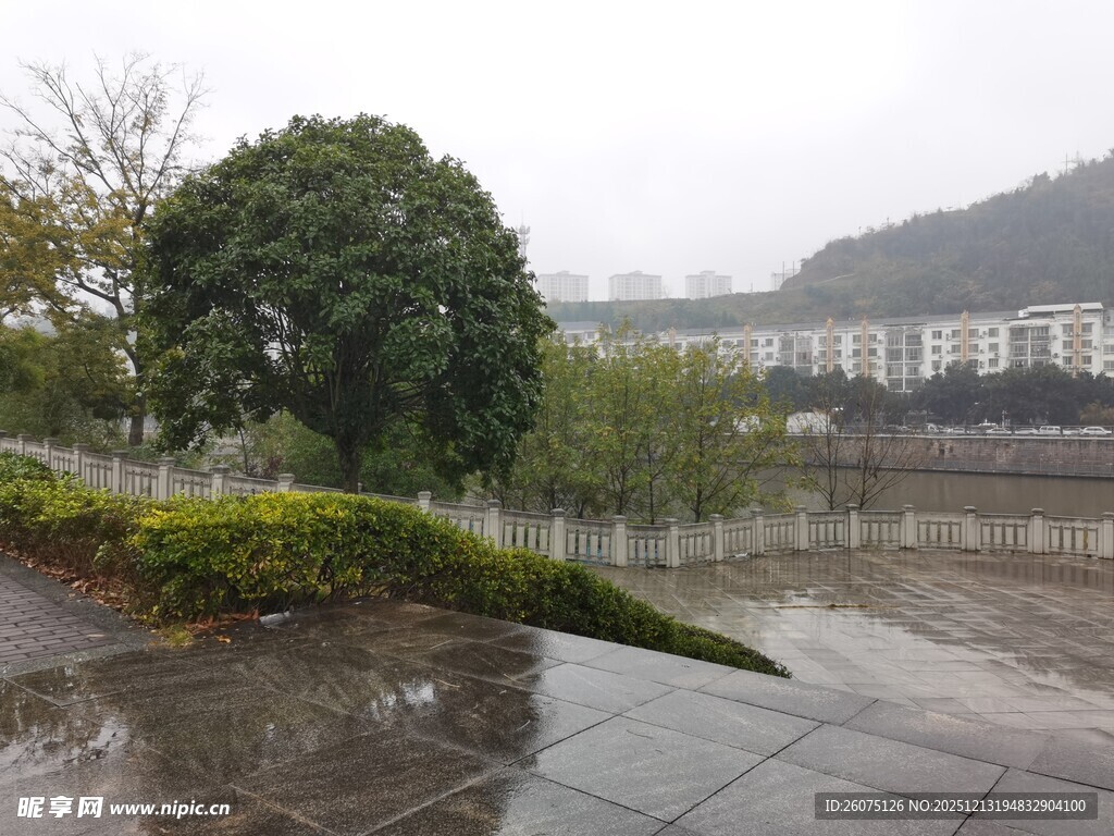 雨中湿润的户外景观