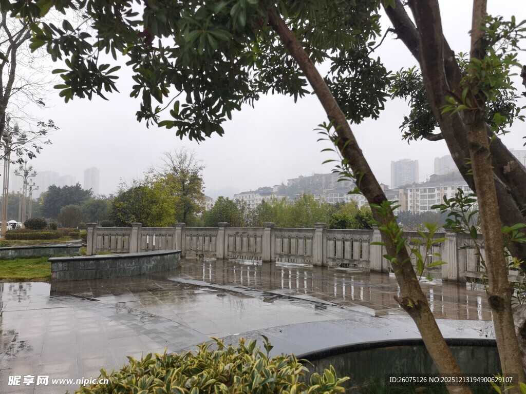 雨中静谧的城市园林景观