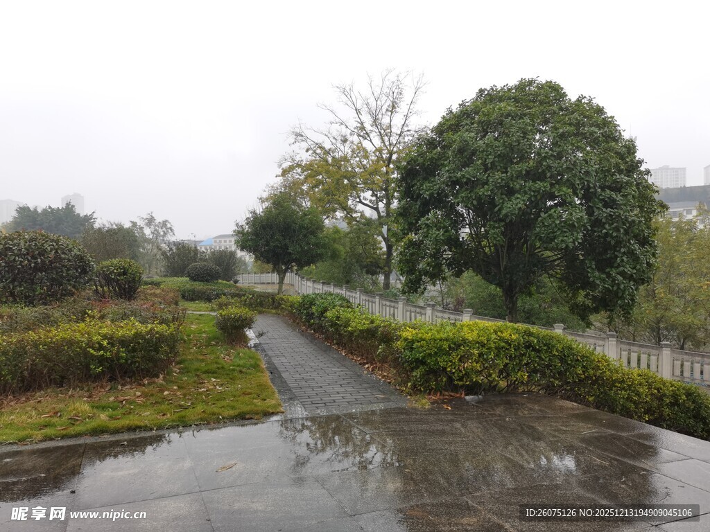 雨后湿润的园林小径