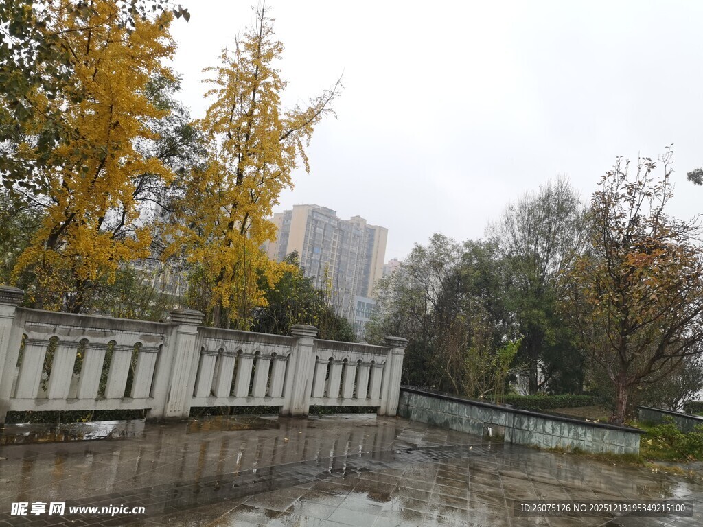 秋日雨中的城市河畔景致