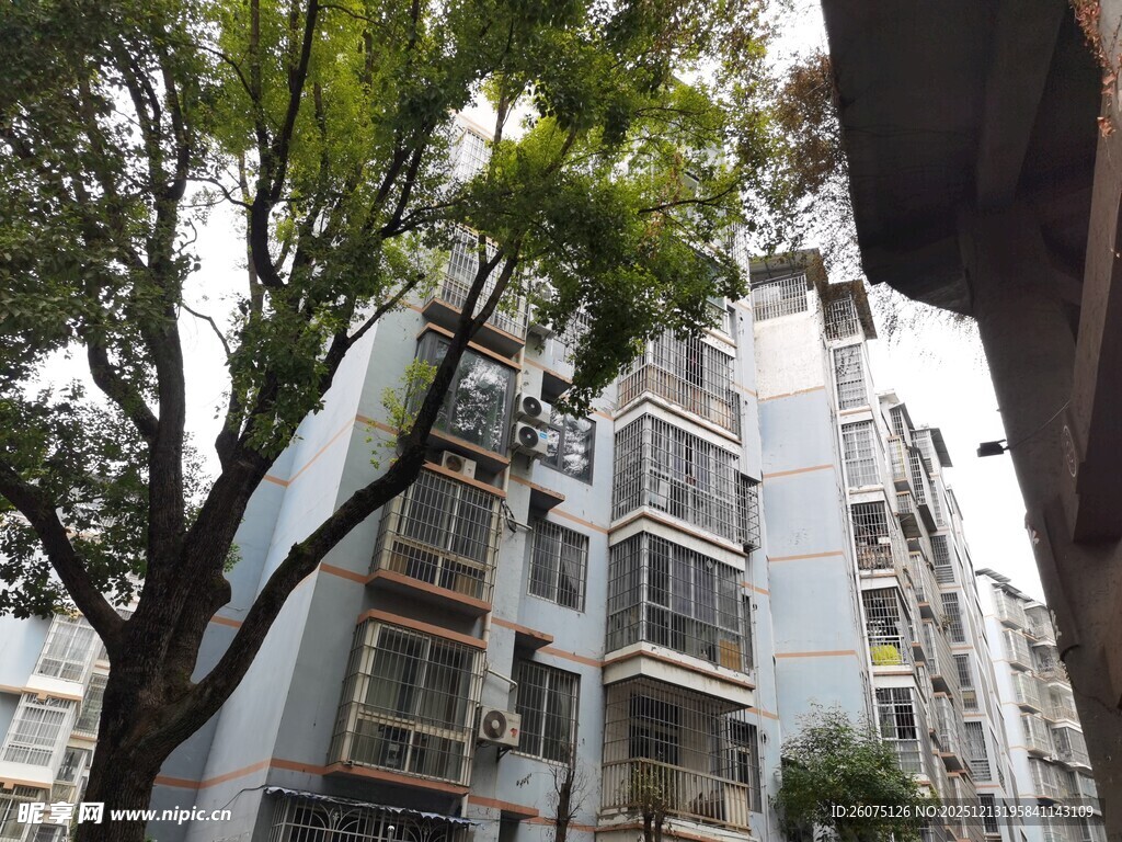 城市居民楼与绿树景观