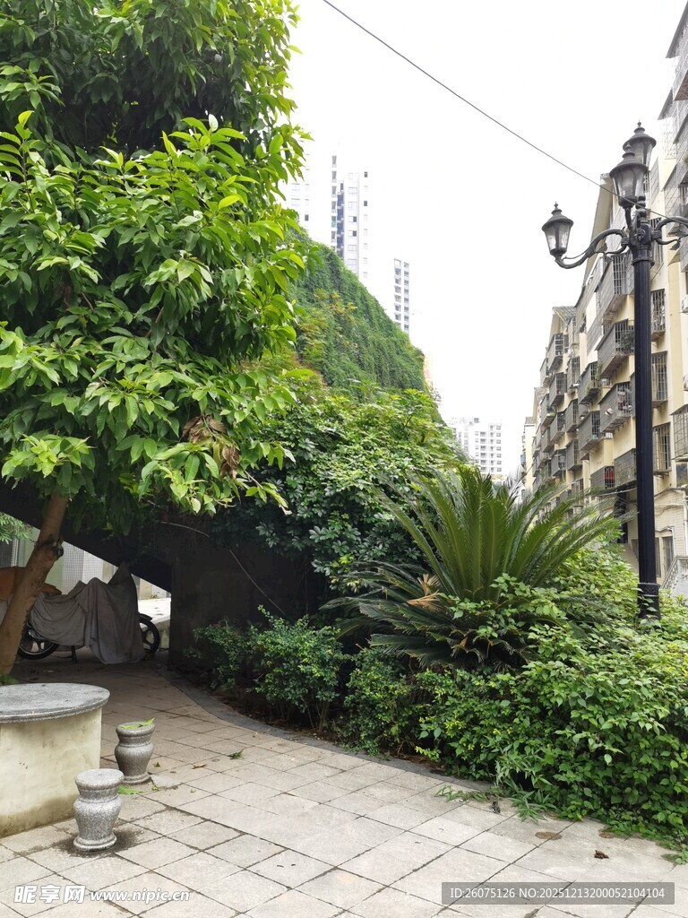 城市角落的绿植景观