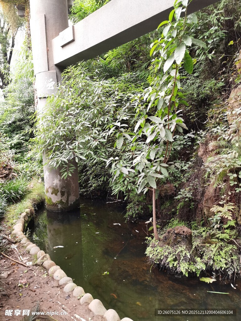 桥下溪流伴绿植景观