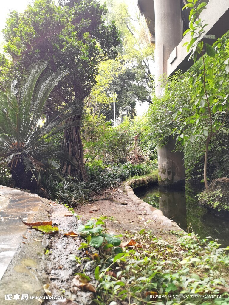 庭院绿植景观自然惬意