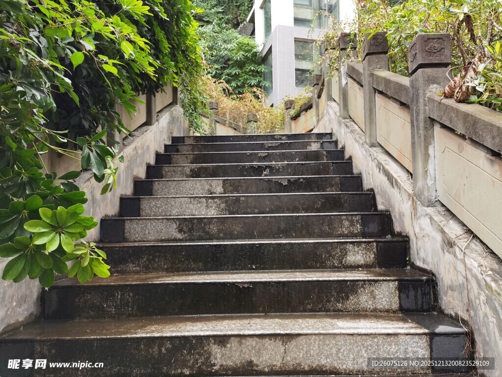 石砌阶梯隐于绿植间