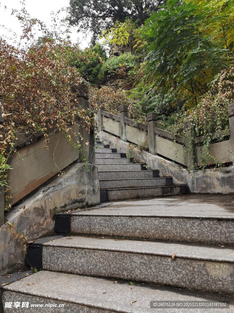 石砌台阶通往绿意世界