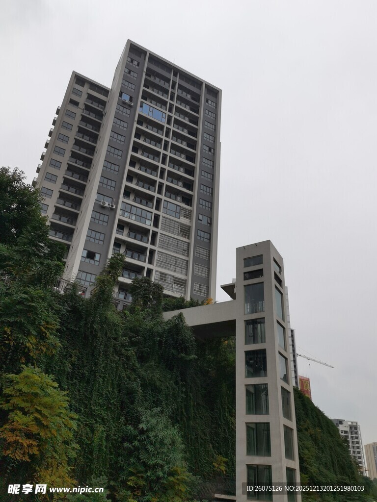 高楼林立于葱郁植被间