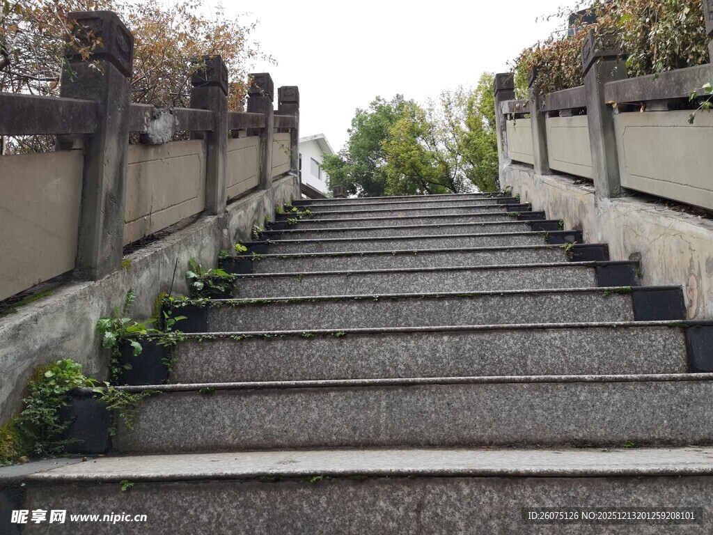 石砌阶梯绿植相伴