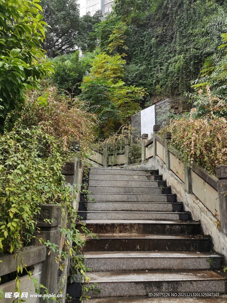 山林间的木质阶梯小径