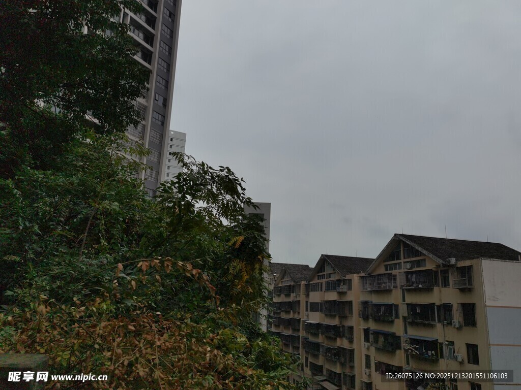 城市住宅区绿植景观