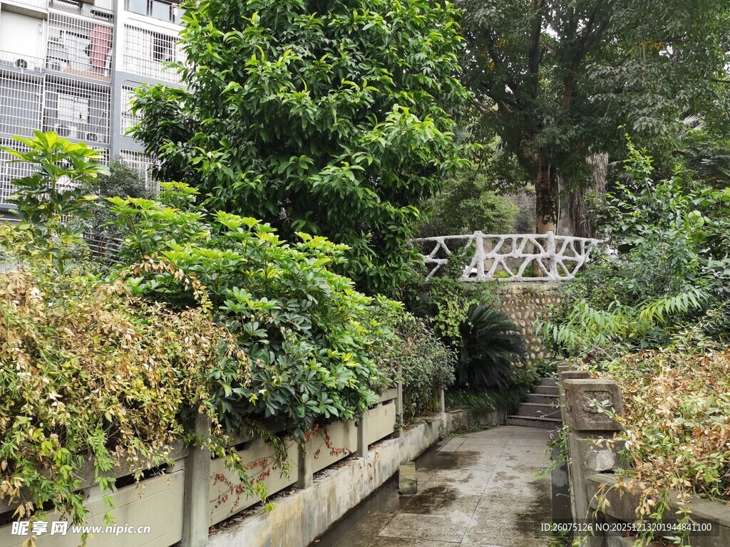 城市中的静谧绿植小巷