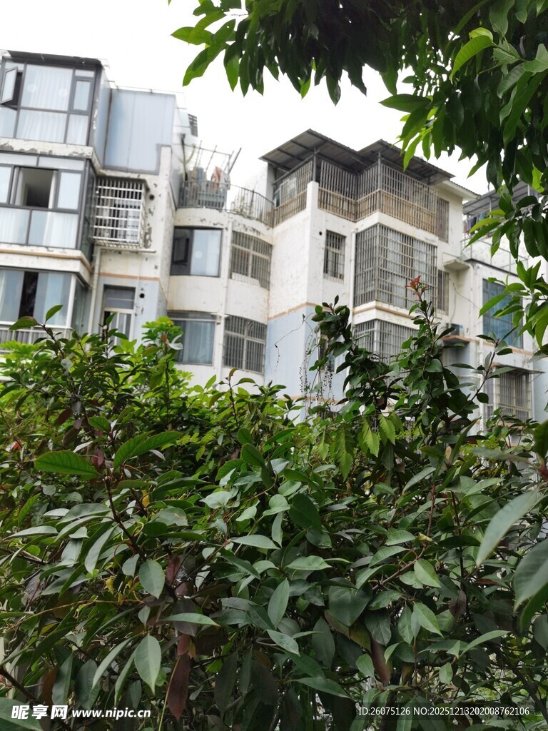 绿植环绕的居民楼