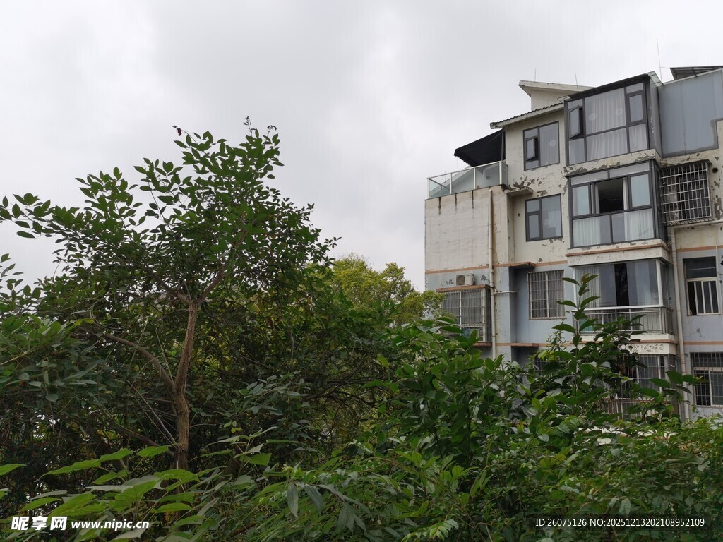 绿植环绕的多层居民楼