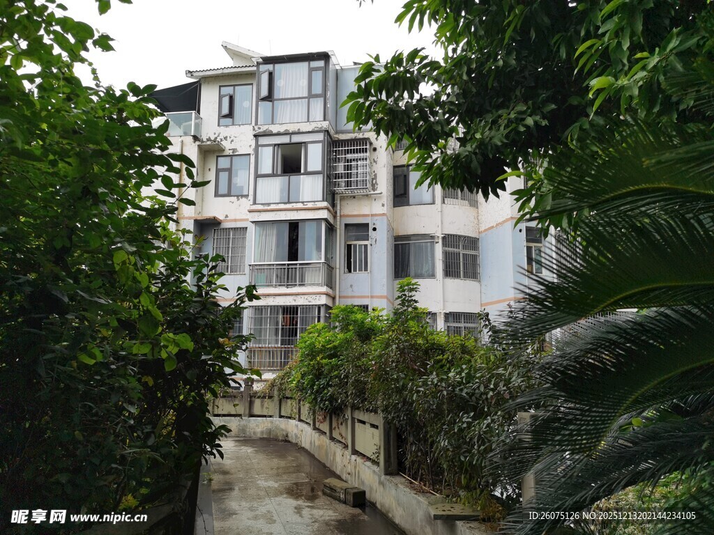 绿树环绕中的居民楼