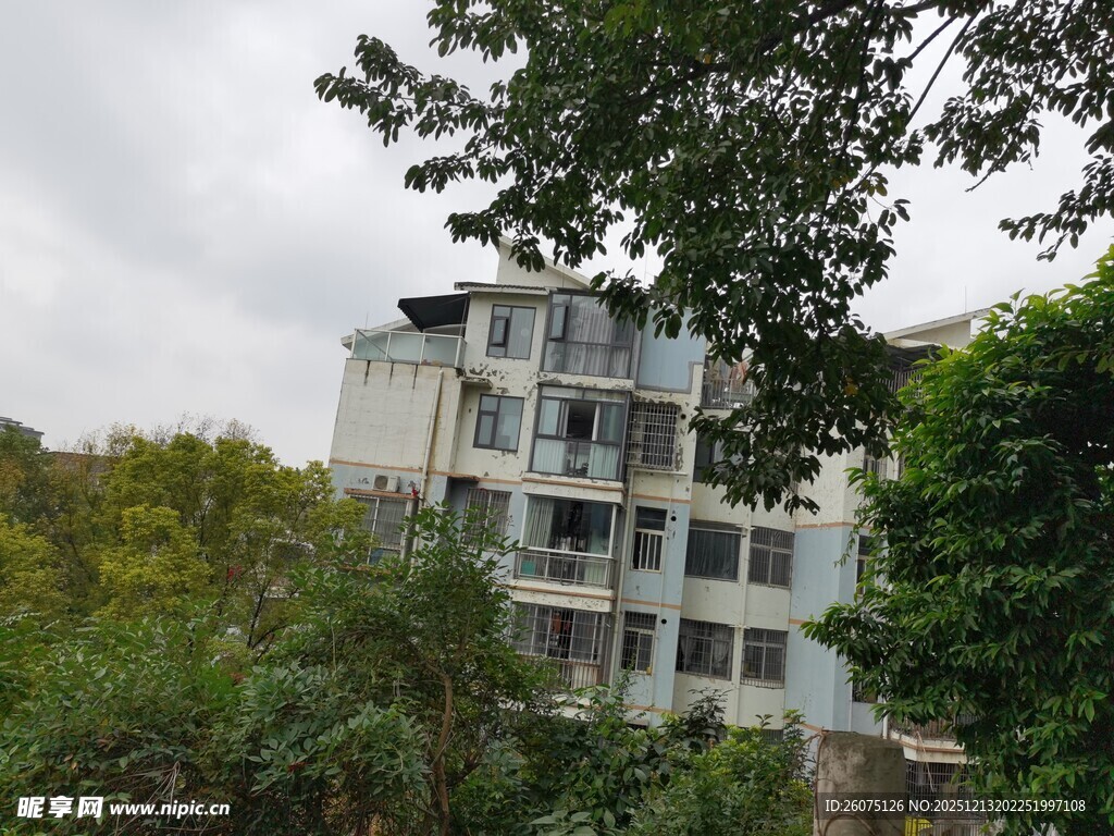 绿树环绕的多层居民楼