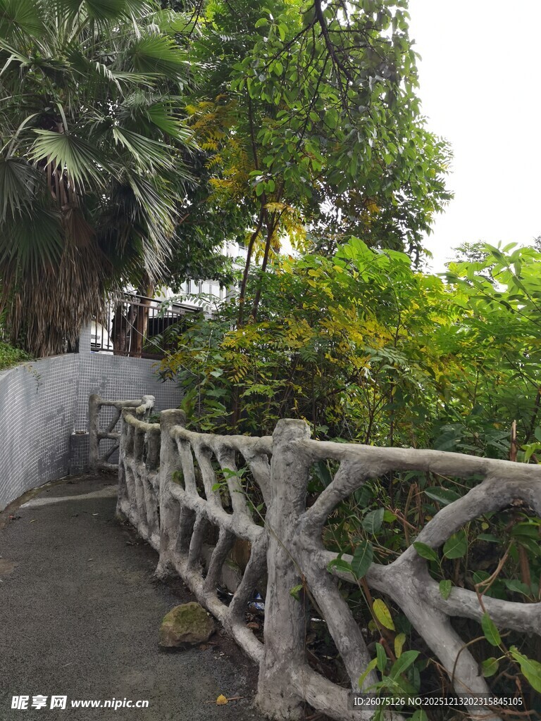 乡村小径旁的木质围栏景观