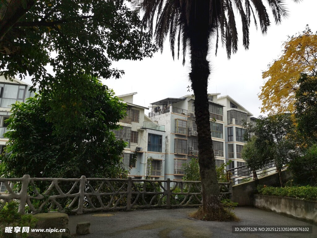 小区内的绿植与建筑景观