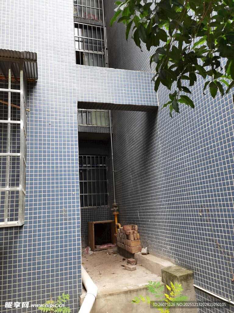 老旧楼房下的休憩小猫