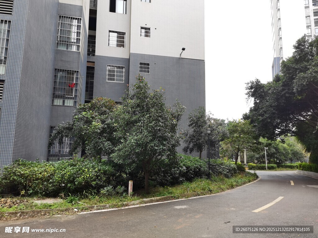 住宅区旁的弯曲道路景观