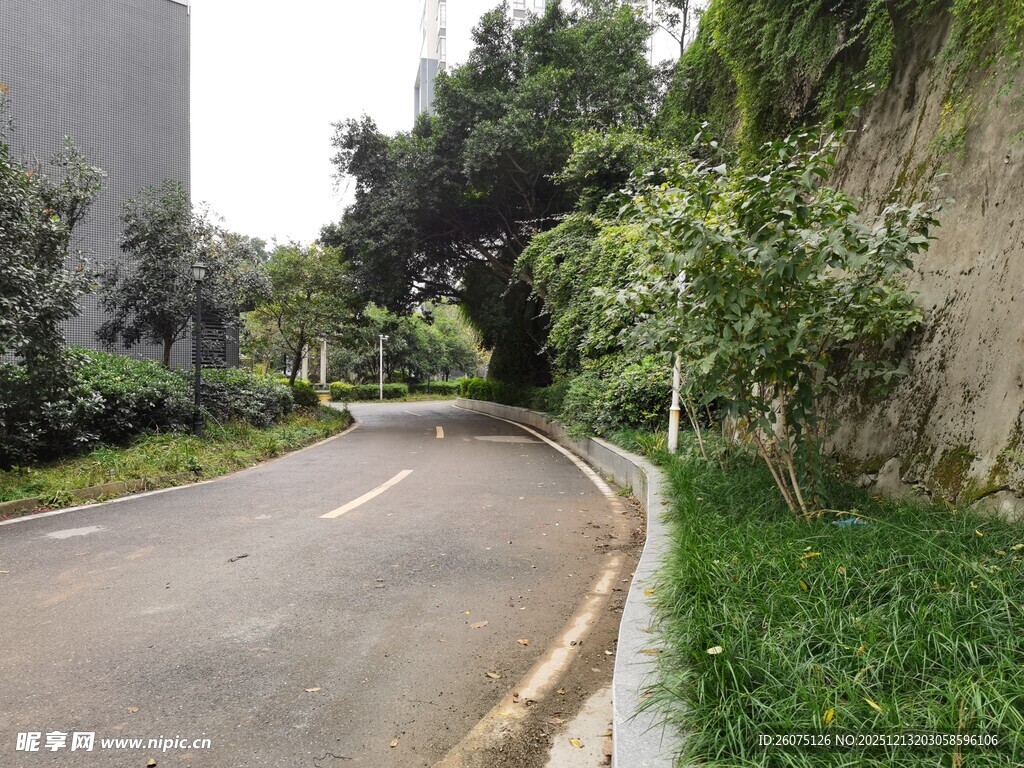 蜿蜒路边绿植环绕景致