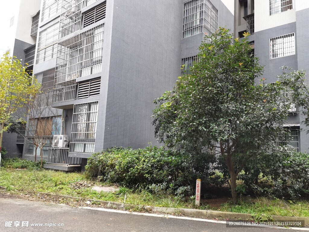 小区旁的绿植与灰色建筑