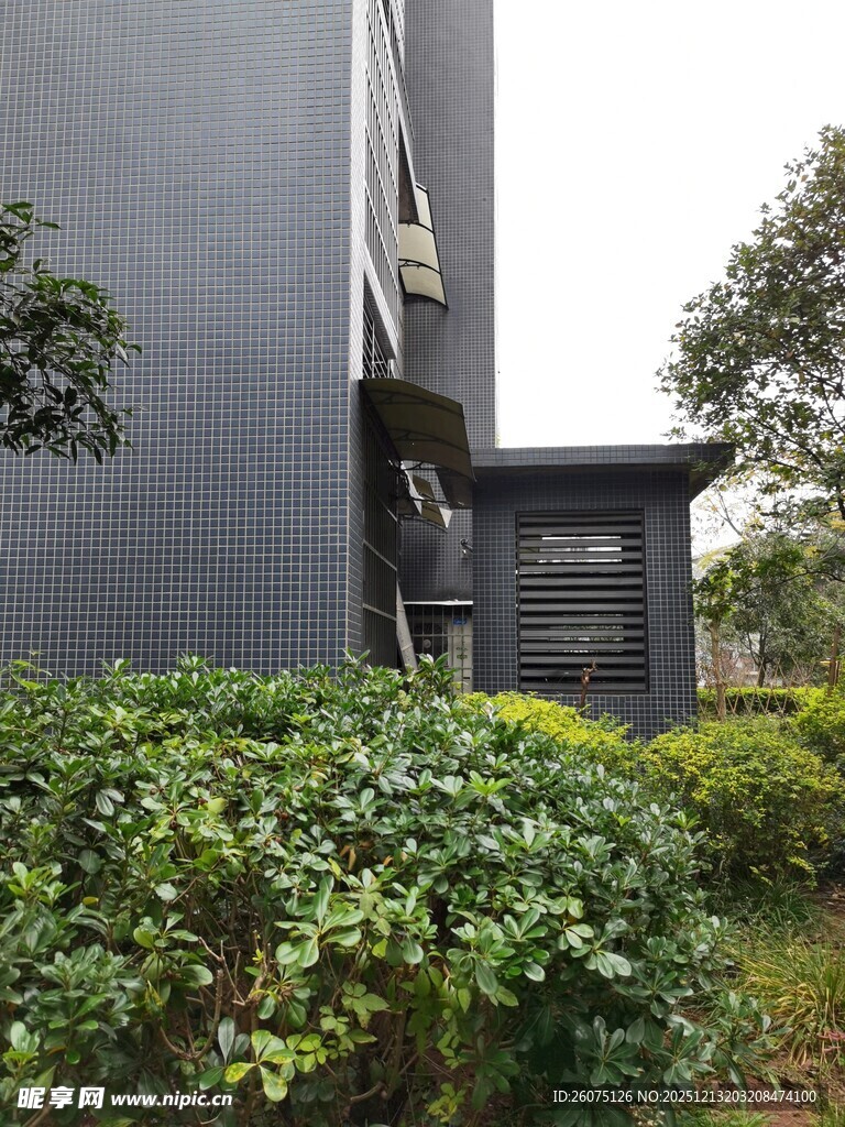 现代建筑旁的绿植景观