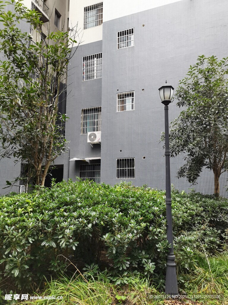 灰色建筑旁的绿植景观