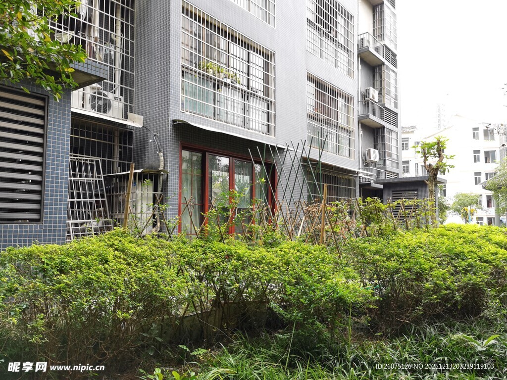 老旧居民楼旁的绿植景观