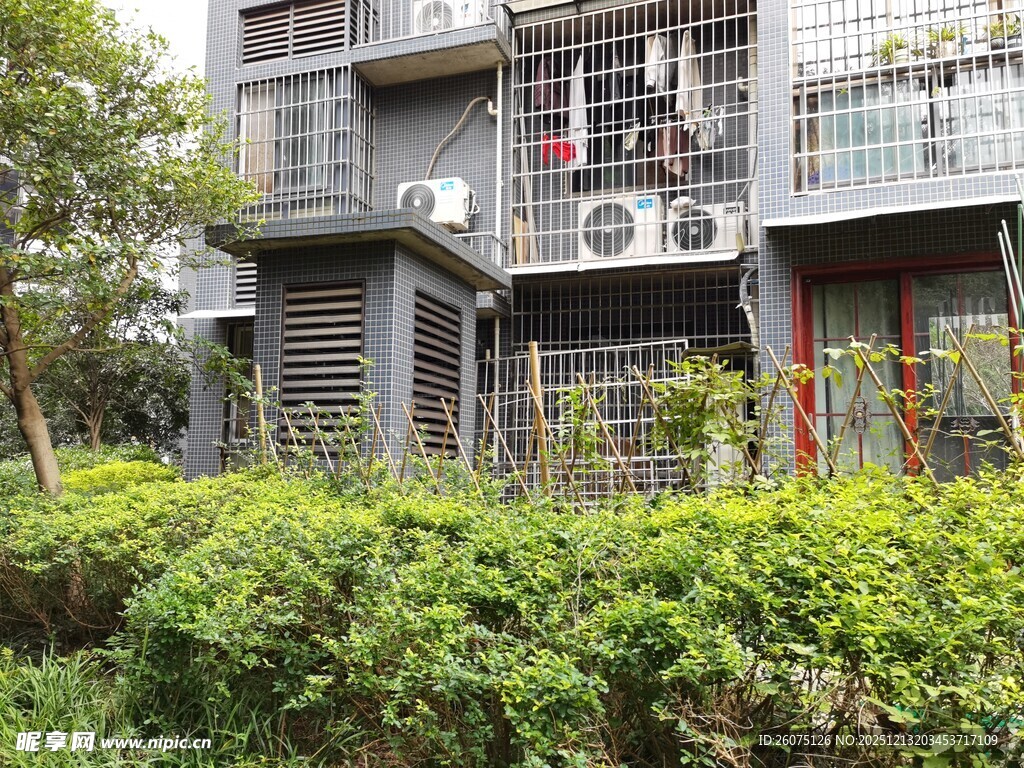 居民楼外绿意盎然的景象