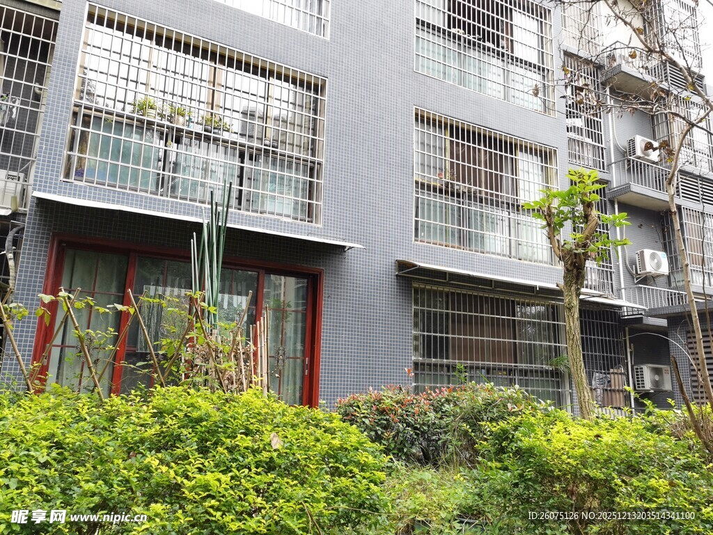 现代住宅外观与绿植景观