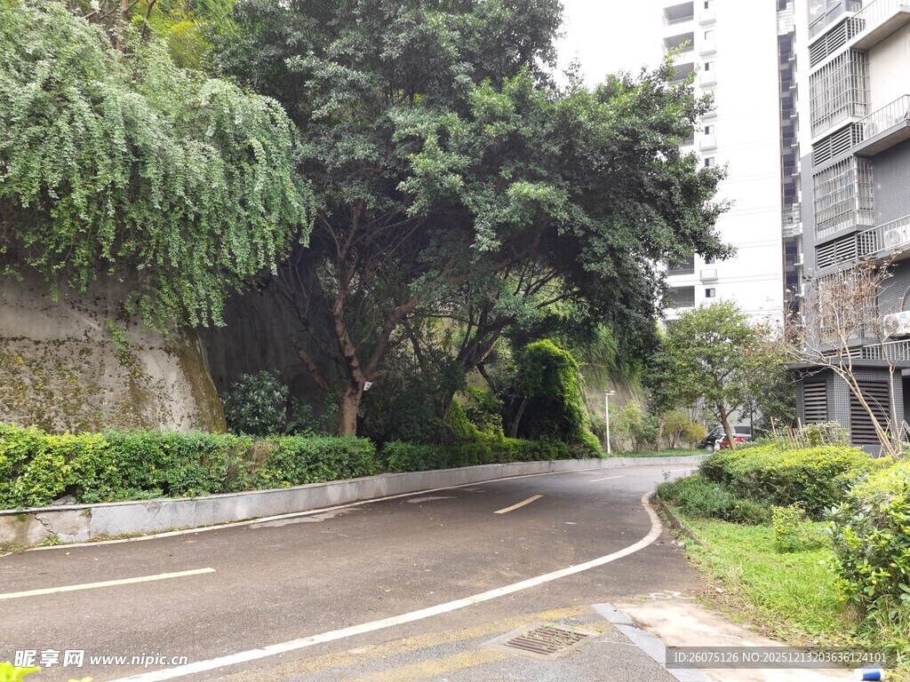 小区内的弯曲道路与绿植