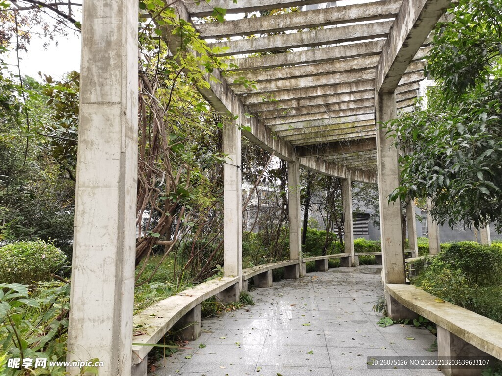 木质廊架下的静谧步道