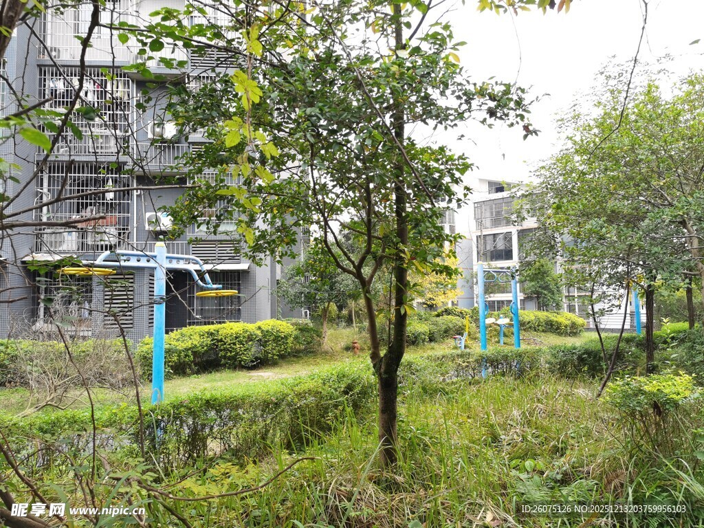 小区中的绿植与健身设施